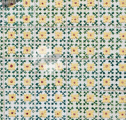 Image of Portuguese glazed tiles 073