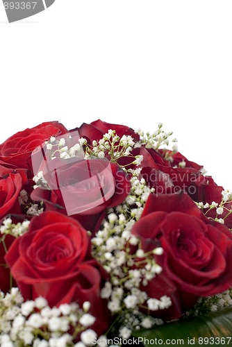 Image of Red roses