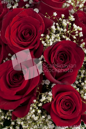 Image of Red roses