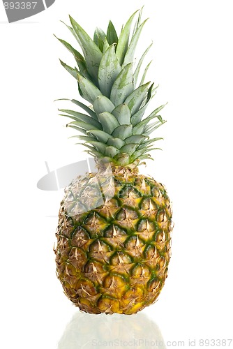 Image of Pineapple