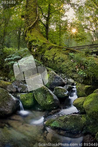 Image of Gers