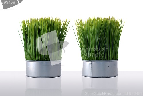 Image of Artificial green grass