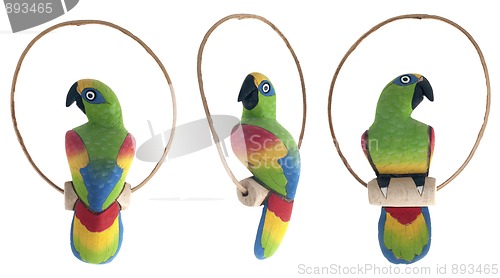 Image of Decorative parrot