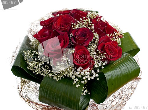 Image of Red roses