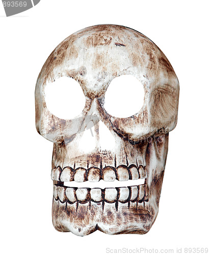 Image of Skull