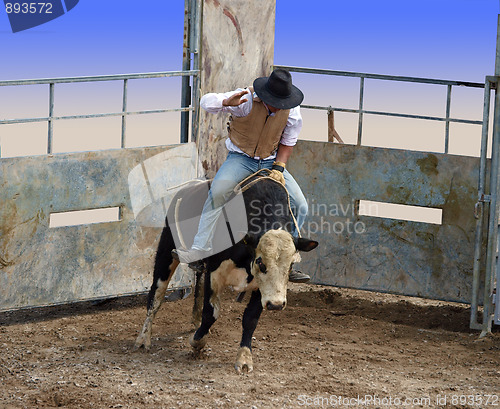 Image of A Bull with Rider Coming out of the Gates