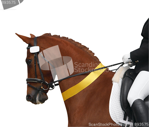 Image of Dressage Horse with Yellow Ribbon