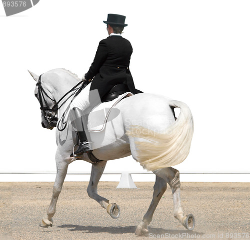 Image of Advanced Dressage Test 