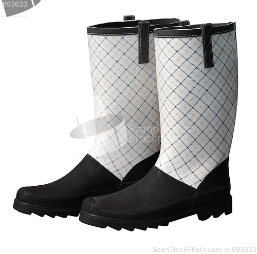 Image of Fancy Gumboots