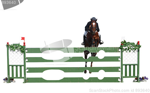 Image of Horse and Rider over a Jump 