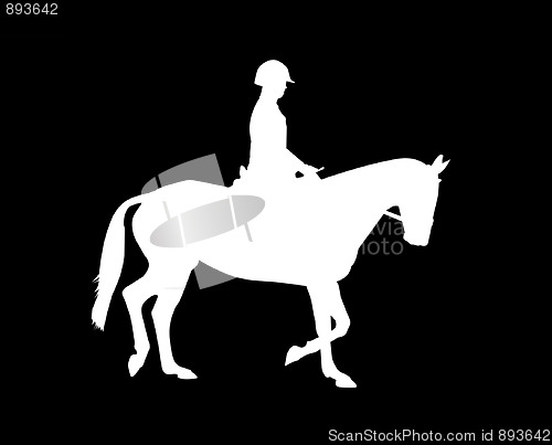 Image of Horse Trotting