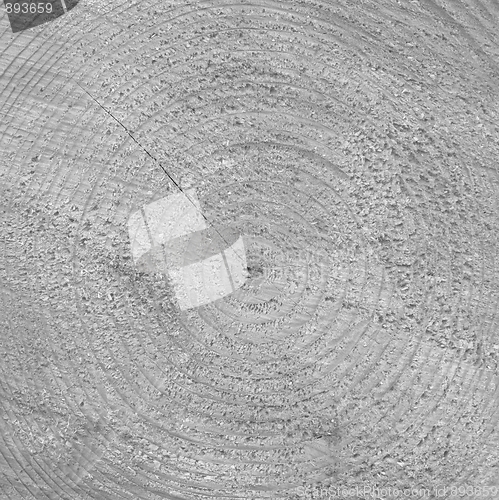 Image of Wood rings