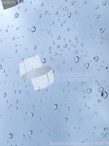 Image of Rain droplets