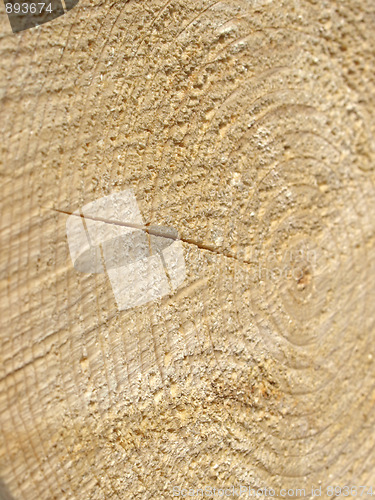 Image of Wood rings