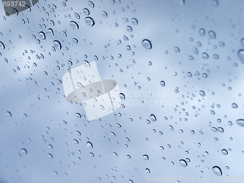 Image of Rain droplets