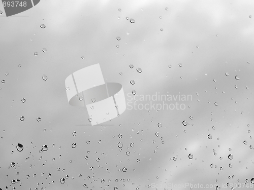 Image of Rain droplets