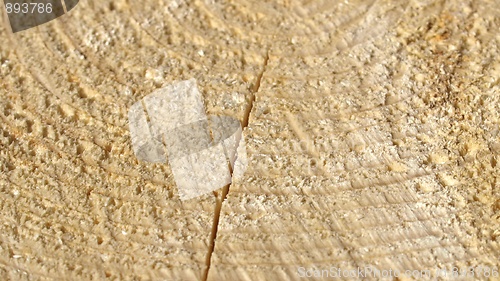 Image of Wood rings