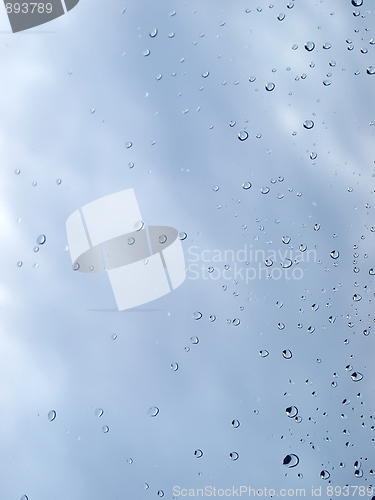 Image of Rain droplets