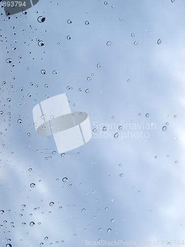 Image of Rain droplets