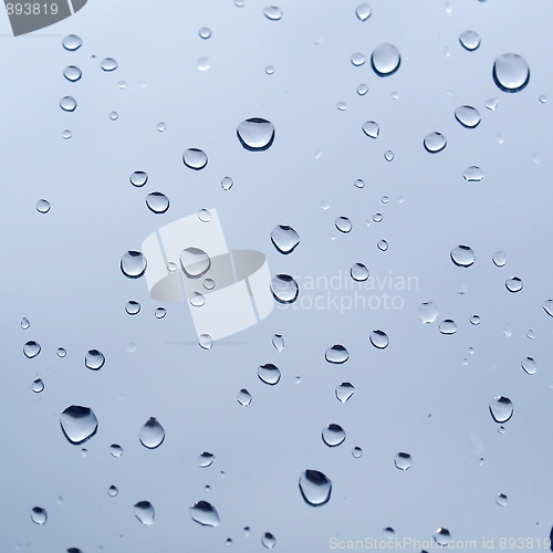 Image of Rain droplets