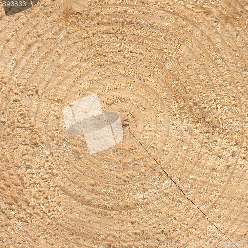 Image of Wood rings