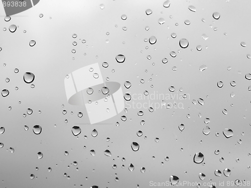 Image of Rain droplets