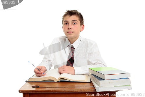 Image of Attentive school student doing work