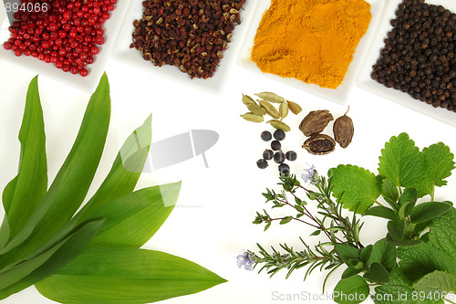 Image of Herbs and spices