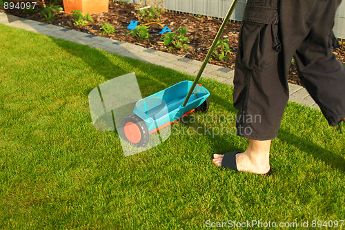 Image of Gardening - fertilizing lawn