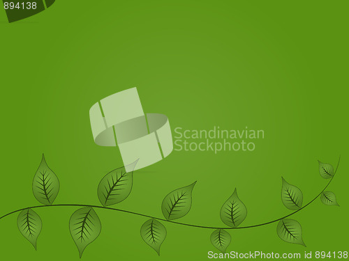 Image of Green Vine Background
