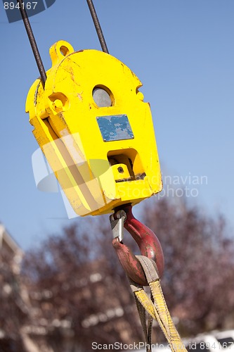 Image of Yellow Crane Head with Red Hook