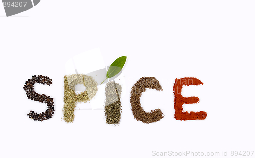 Image of Spice