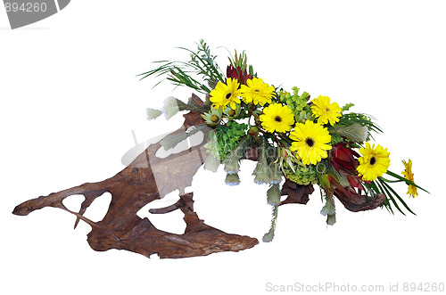 Image of Floral Arrangement on Driftwood