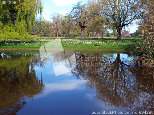 Image of Tranquil Reflection