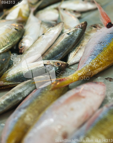 Image of Stack of fishes in local market
