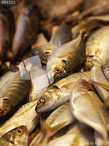 Image of Stack of fishes in local market