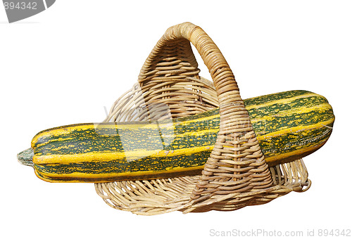 Image of Large Marrow in Basket