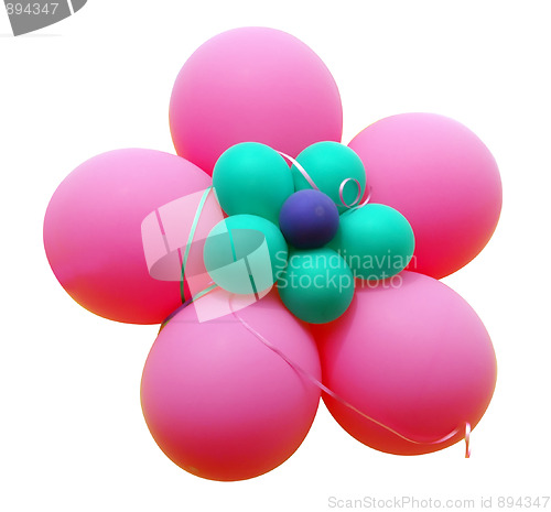 Image of Pink Balloon Flower