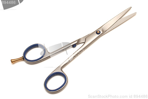 Image of Hairdressing scissors