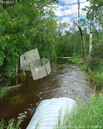 Image of Flooding Creek