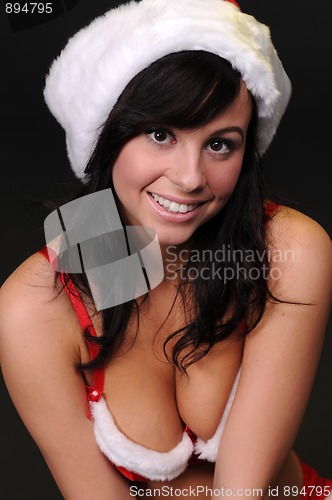 Image of Santa's helper