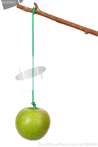 Image of Apple and Stick