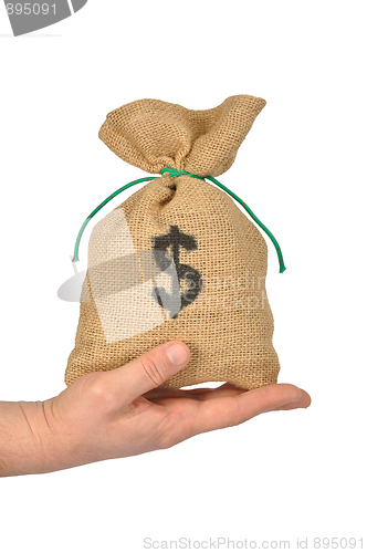 Image of Money Bag