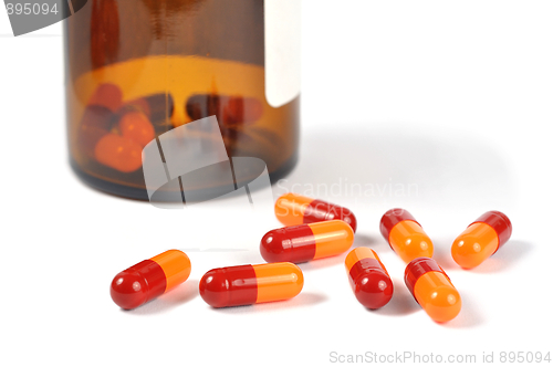 Image of Macro of Capsules