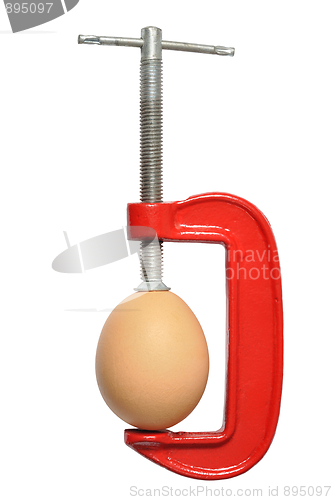 Image of Egg in Clamp