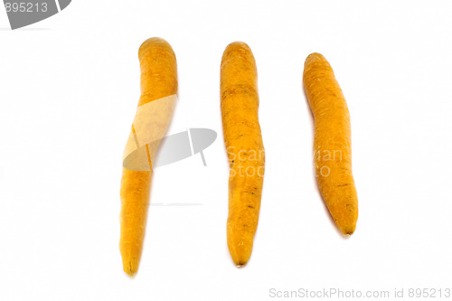 Image of Carrots