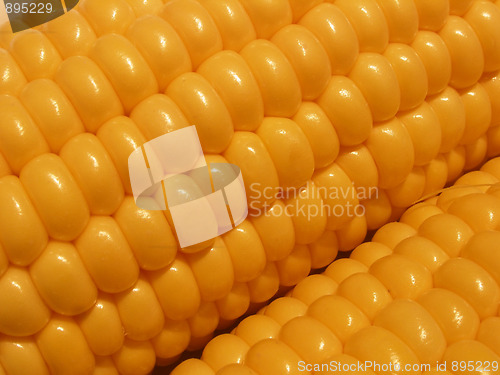 Image of corn