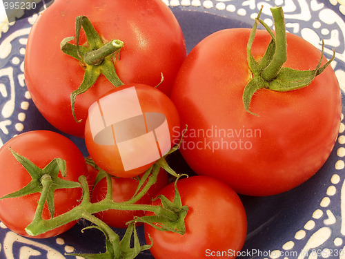 Image of tomatoes