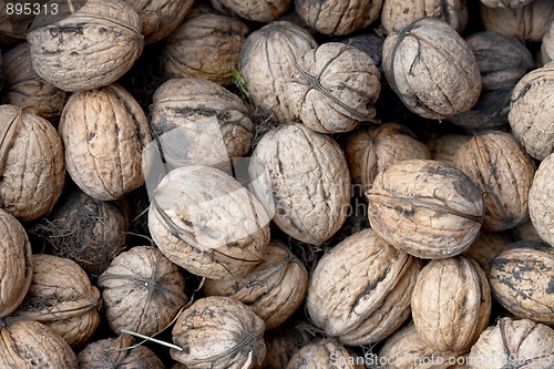 Image of Walnuts