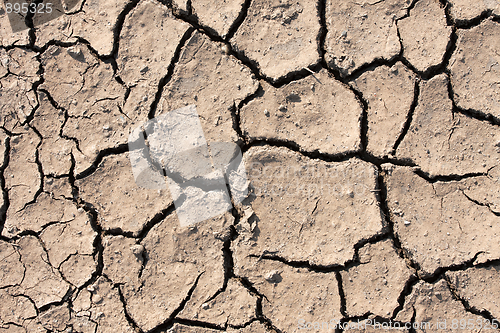 Image of Dry land